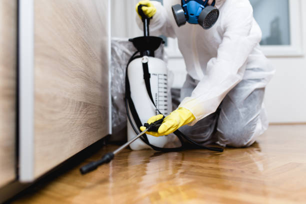 Best Wasp Removal Services  in Lugoff, SC