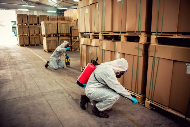 Best Bed Bug Extermination  in Lugoff, SC
