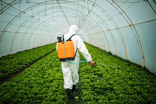Best Mosquito Control Services  in Lugoff, SC