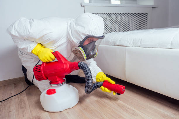 Best Affordable Pest Control Services  in Lugoff, SC