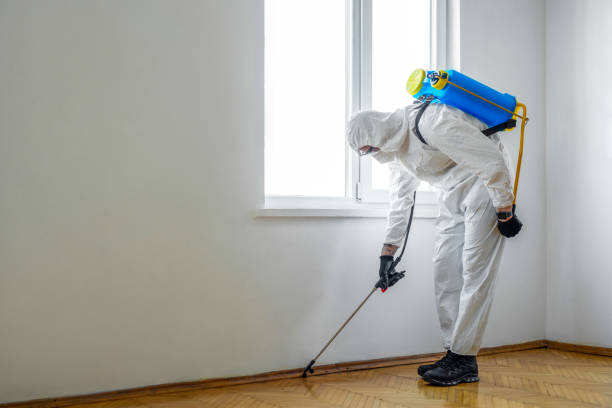 Best Commercial Pest Control Services  in Lugoff, SC