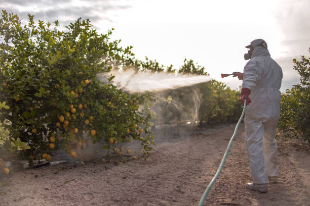 Best Pest Prevention Services  in Lugoff, SC