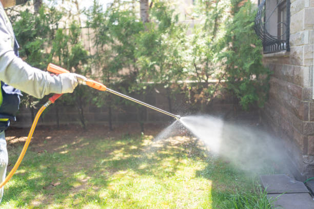 Best Best Pest Control Companies  in Lugoff, SC