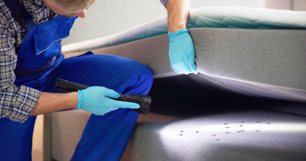 Best Cockroach Control Services  in Lugoff, SC