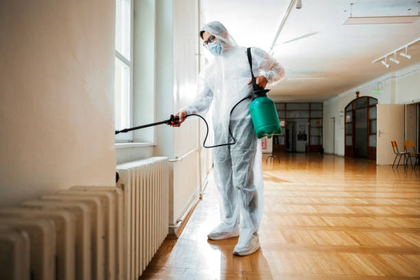 Best Pest Control for Homes  in Lugoff, SC